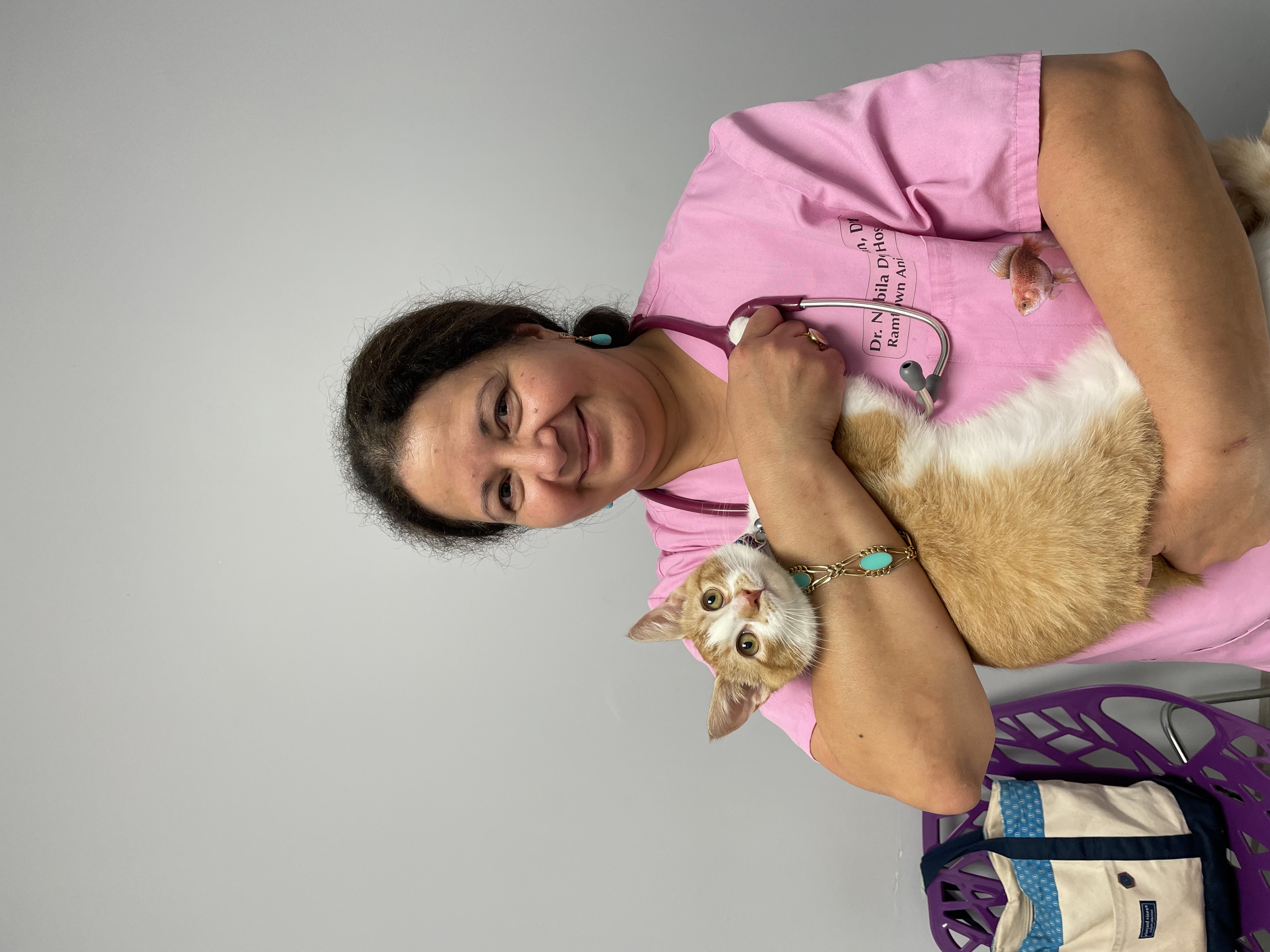 Veterinarian holding an orange tabby cat during a dental wellness exam at Ramtown Animal Hospital